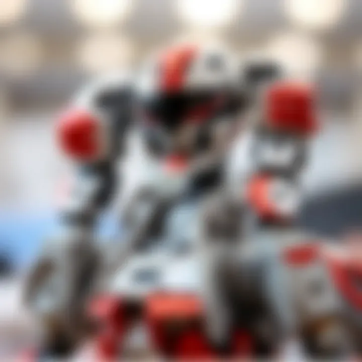 A robot model showcasing innovative design