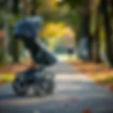 Spacious stroller with large wheels on a park pathway