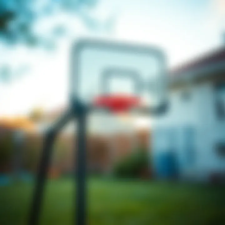 Installing a Mini Basketball Hoop Installation process of a mini basketball hoop in a backyard
